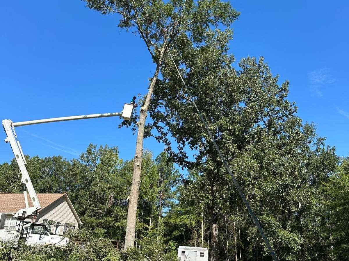 El Costeño Tree Service LLC